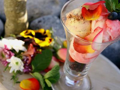 Gastronomie glace aux fleurs, Somme