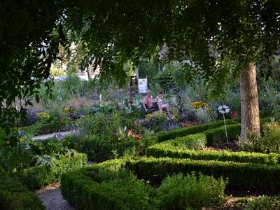 Jardin des Plantes Amiens